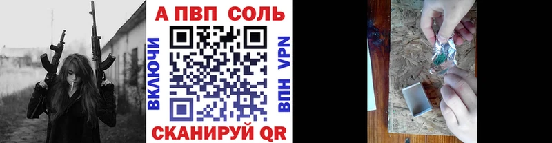 APVP СК  Великий Устюг 