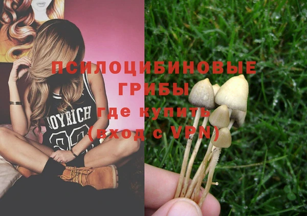 мяу мяу мука Богородицк