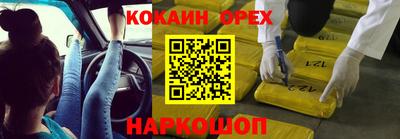 индика Новозыбков