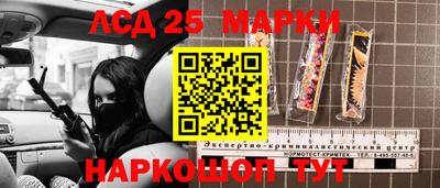 индика Новозыбков
