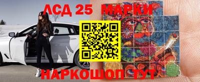 индика Новозыбков