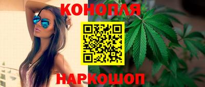 индика Новозыбков