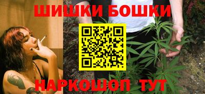 индика Новозыбков