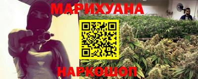 индика Новозыбков