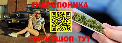 индика Новозыбков
