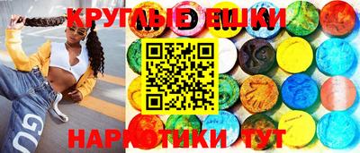 индика Новозыбков