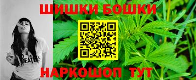 индика Новозыбков
