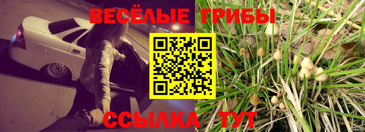 Великий Устюг  Галлюциногенные грибы прущие грибы  Псилоцибиновые грибы MAGIC MUSHROOMS  Вход с VPN 